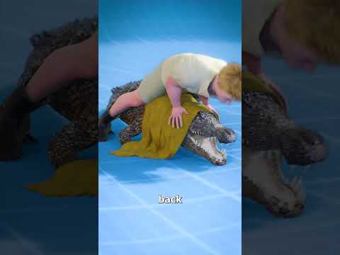 How To Wrestle An Alligator 😨