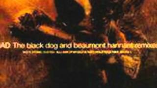 Ned&#39;s Atomic Dustbin - All I Ask Of Myself Is That I Hold Together (No Answer Mix by The Black Dog)