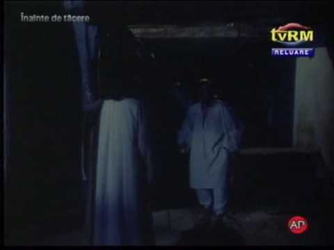 Valeria Seciu - Inainte de tacere (2)