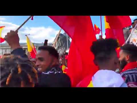 Dawit Hileslassie - Eliana