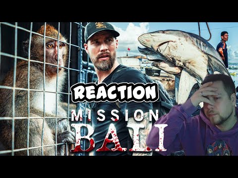 Mission Bali | Robert Marc Lehmann | Reaction Teil 2