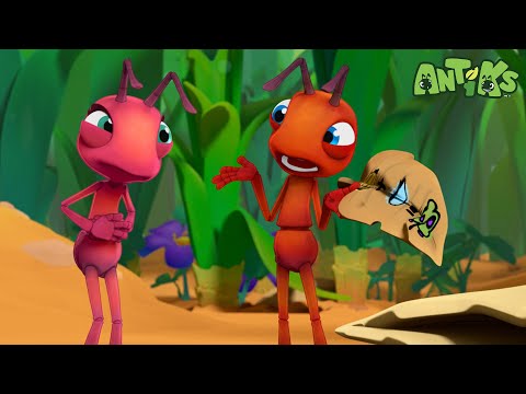 Ant Farm | Antiks ???? | Funny Cartoons for Kids