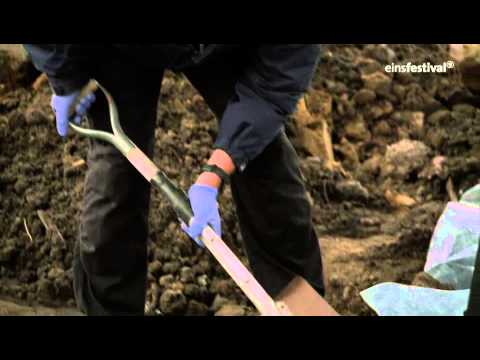 Mankells Wallander_Das Schmetterling-Tattoo - EinsFestival Trailer