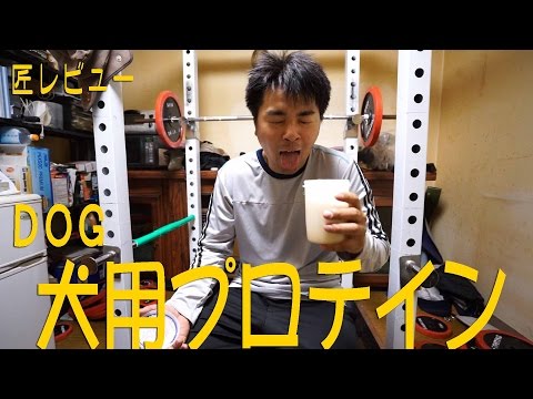 犬用プロテインフード