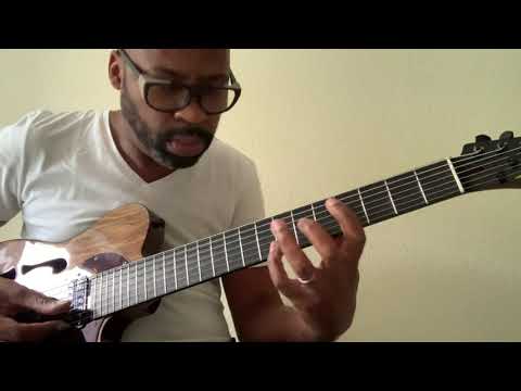 Lionel Loueke / Skylark / custom Lady T semi-hollow by LL