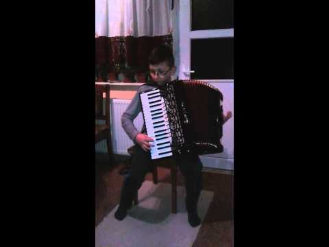 Marko Marković-Moj dilbere