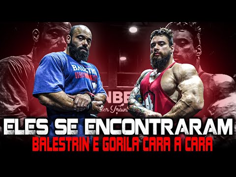 BALESTRIN TEVE UMA CONVERSA COM O GORILA NO CT