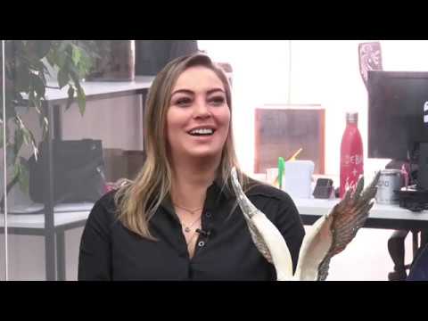 PCDF Clerk Competition - Cost of living in the DF