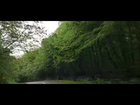 Traseu Balteni spre Vaslui 04 2024