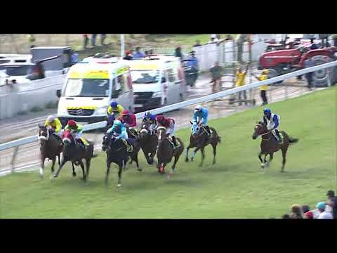 RM31 R4 | Till Dawn | M.Martinez