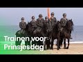 Hoe train je paarden voor Prinsjesdag? | Het Klokhuis
