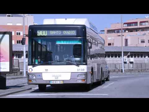 STCP 3130 (audio recording - collab)