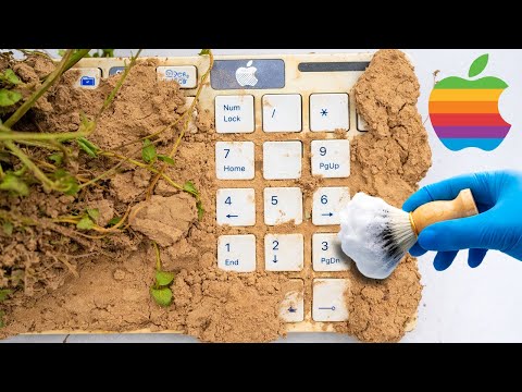 Satisfying Cleaning APPLE Keyboard Restoration  Deep Cleaning The Dirtiest APPLE. Relax ASMR