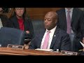 Sen. Tim Scott Gives Remarks on His Stem Cell Research Legislation at Senate HELP Committee Markup