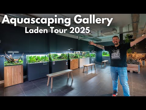Film galeria  Liquid nature w Wiedniu.
