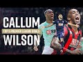 CALLUM WILSON'S TOP FIVE PREMIER LEAGUE GOALS 🔥🔥🔥