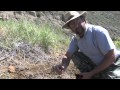 The Search For Little Clint Carthage College Paleontology