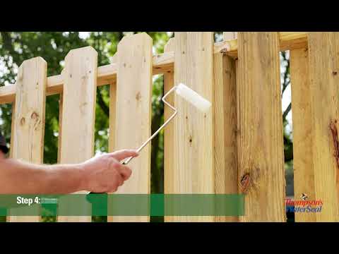 Thompson's WaterSeal Waterproofer Plus Clear Wood Protector