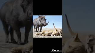 Download lagu January 16, 2025 mp3 Download lagu January 16, 2025 mp3