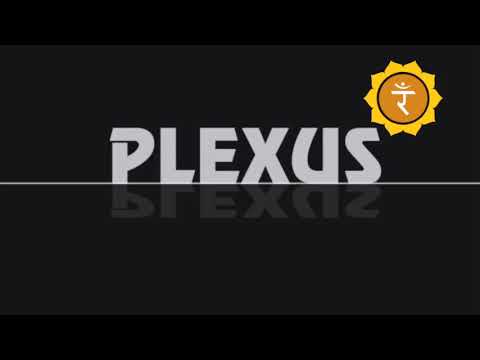 PLEXUS - EXCLUSIVE MIX 2017 - 18 Years Anniversary - 2 Hours Special Live Set