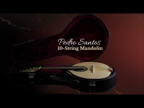 Pedro Santos 10-String Mandolin with VS Tuners | Brazil (Dudu Maia Model) image 11
