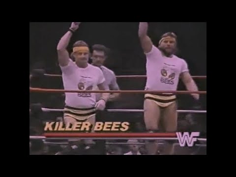 Killer Bees vs Hart Foundation   All Star Wrestling Feb 2nd, 1986