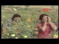 Pottelu Punnamma Songs Ee Daaham Theerindhe Sripriya Murali Mohan