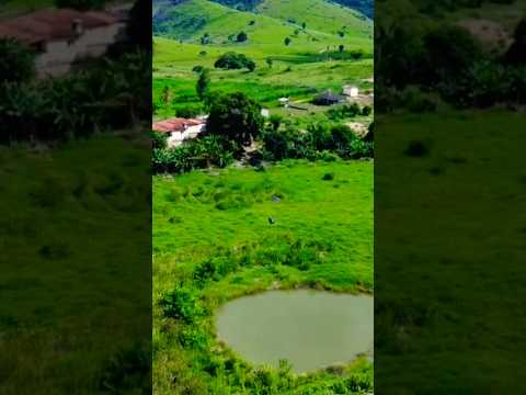🌿🌾Olha Essa Fazenda em Minas 😱 7 Represas, Rio e Produção de Leite! 33.99902.8393 WHATSAPP