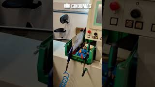 آلة طحن السطح Blohm JUNG JE 525 P | صورة 4 - Machineryline