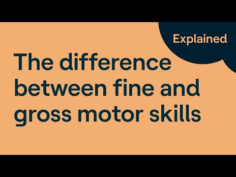 Gross Motor Skills vs. Fine Motor Skills: What’s the difference?