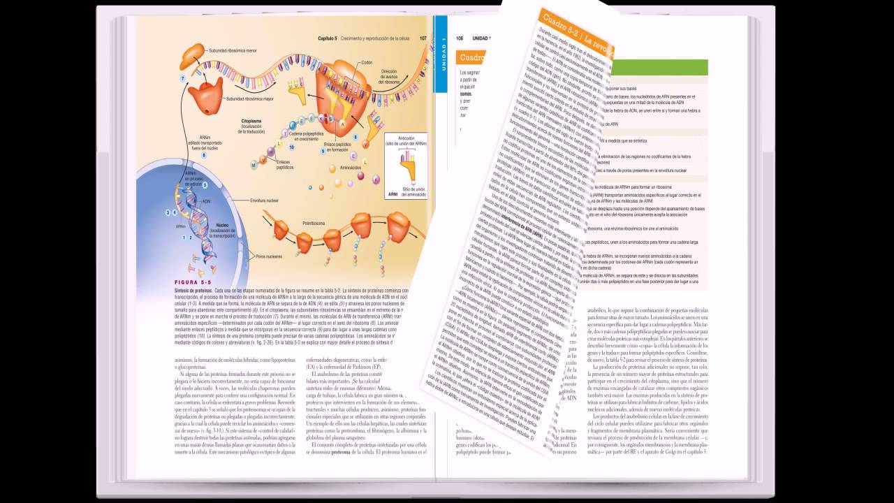 Patton. Anatomía y fisiología