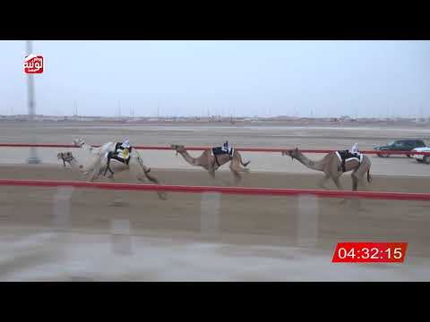  ش 3 (الشعلة) لـ احمد محمد بن دغاش محمد العامري 6:29:61 ، مهرجان العين 2026/08/09 حول وزمول الوثبة