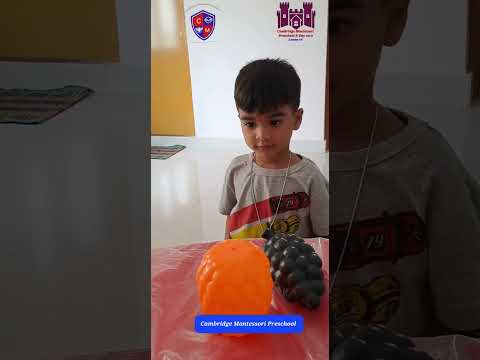 fruit Names by vrishank ayan verma