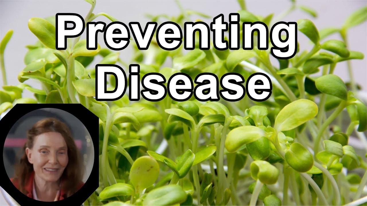 The Most Important Steps For Preventing Disease -  Anna Maria Clement, PhD