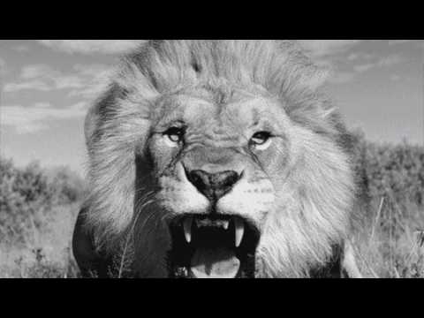 Da Most Wanted - Mangav' (feat. MastaWesh) Official Video _ Voyage au Comores