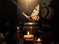 The Moth And The Flame A Powerful Sufi Story Day 4 Of Timeless Wisdom Shorts Lifelessons