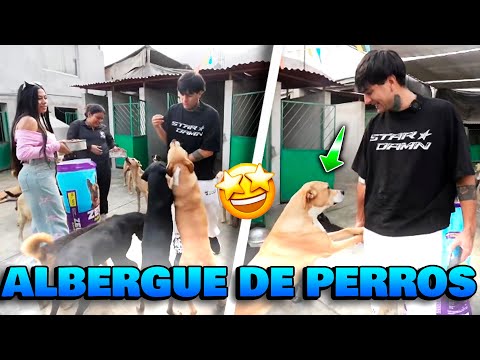 DIEALIS REGRESA AL ALBERGUE DE PERROS ✅️ REPARTIENDO COMIDA PARA TODOS ✅️