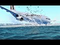 ✈ A330 How It Fell On The Atlantic Ocean, Air France Flight 447 - [AF447 Crash Animation]