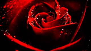 Jody Watley Flower (HD)