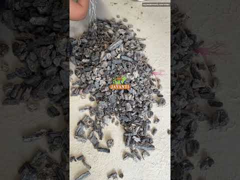 Lump bangkok damar batu black/bangkok dhuna, for incense, pa...