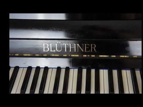 Blüthner 120 silent sarbachpiano