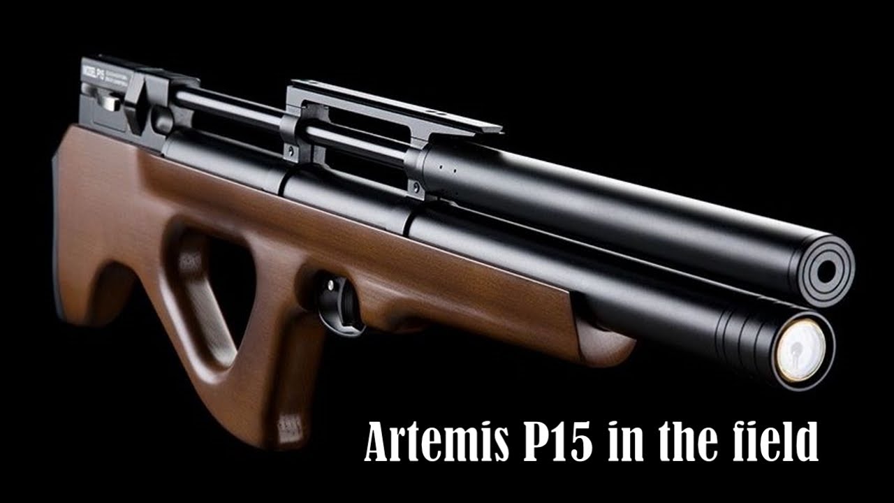 The Artemis P15 in the field (HD).