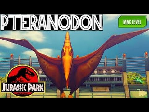 PTERANODON Dinosaur MAX LEVEL 40 Jurassic Park Builder Battle Stage Fight INDOMINUS REX 20