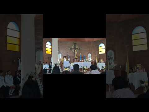 ✨   🎶 Coplas a San Antonio de Padua — Julieta Gallo, Jujuy 🙏  