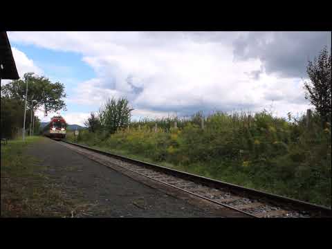 ČD 843 011-8 I Doubí u Turnova I R1369 I 2.9.2020