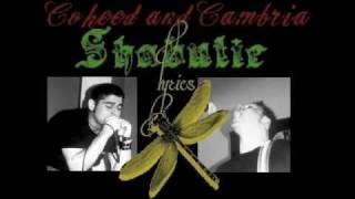 Shabutie-Rare &quot;PunkSong&quot;