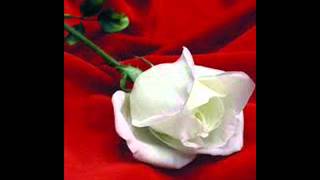 Diego Verdaguer Corazón baldío