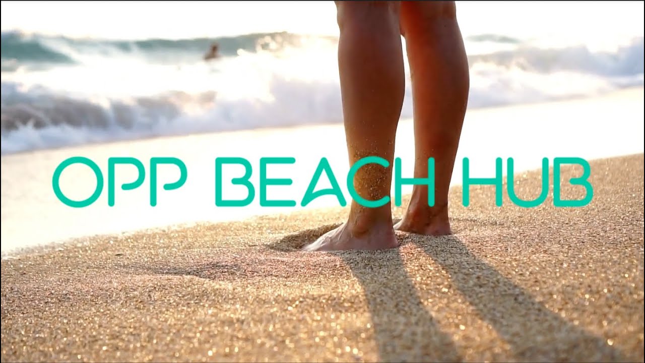 Project White Sands - Cleaning Up Singapore's Beaches with Ocean Purpose Project