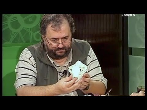 Verdictul stiintei: Creatie 9.3 - Schimbarea sau transformarea speciilor