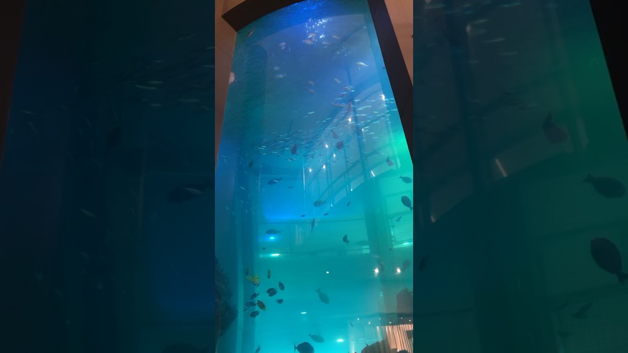 YouTube Short thumbnail